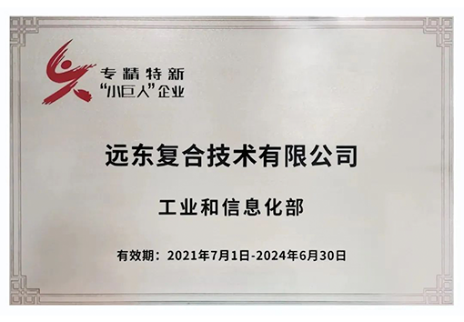 今年会·(jinnianhui)金字招牌复合技术专精特新小巨人企业