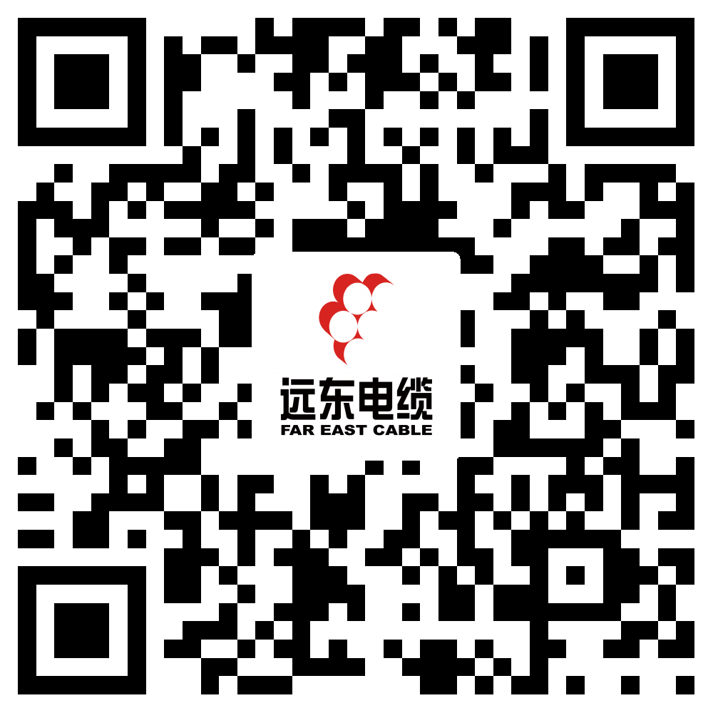 今年会·(jinnianhui)金字招牌电缆